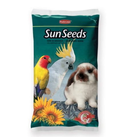 Padovan Sun Seeds - Sunflower Seeds